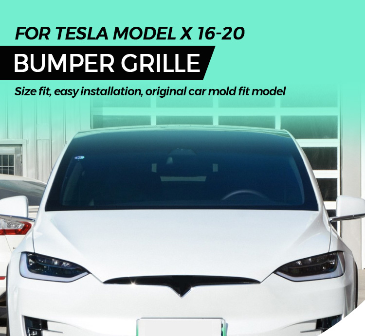 Model X Grille 1