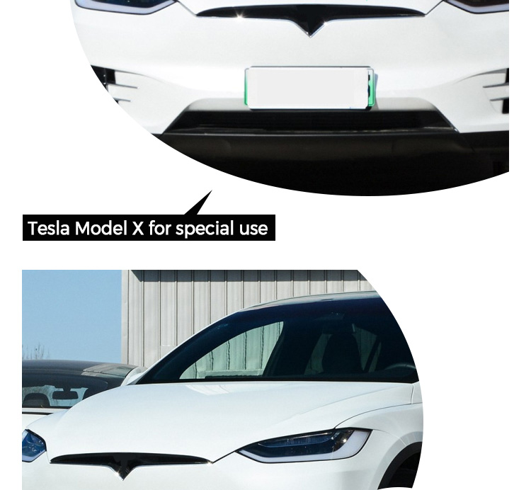 Model X Grille 3