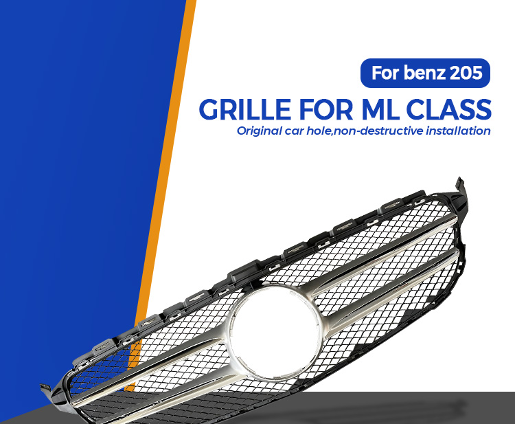 Mercedes Benz C Class Grille 01