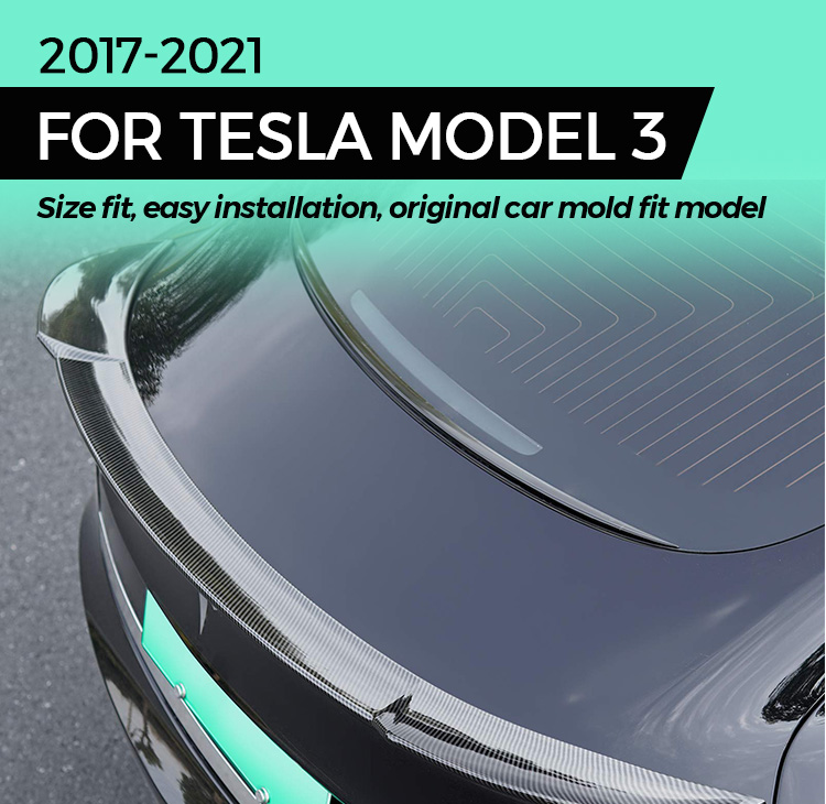 Model 3 P Spoiler 1