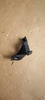 Fit for Bmw F35 HEADLAMP PANEL L 51647285597 R 51647285598